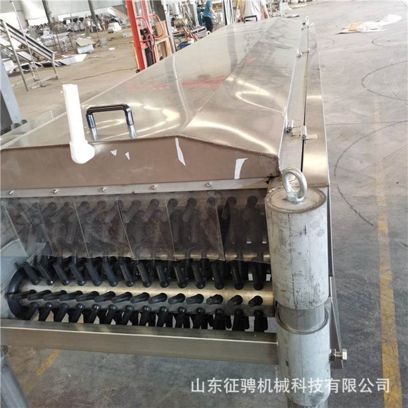 鸡鸭鹅卧式脱毛机不锈钢全自动家禽屠宰流水线脱毛设备源头工厂