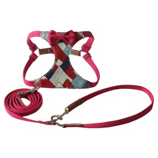 网红可爱狗狗牵引绳背心式小型犬泰迪比熊幼犬胸背带狗绳子牵引绳