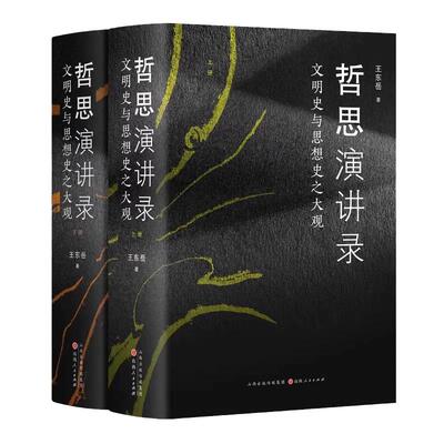【官方正版】哲思演讲录 文明史与思想史之大观 王东岳系列讲座的文稿 内容涉及天文地理人文生物医学 社科 哲学入门书籍