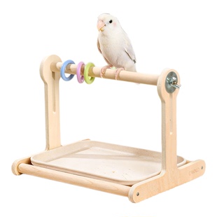 卡诺鹦鹉站架定点排便拉屎神器牡丹玄凤专用站杆桌面训练站台鸟架