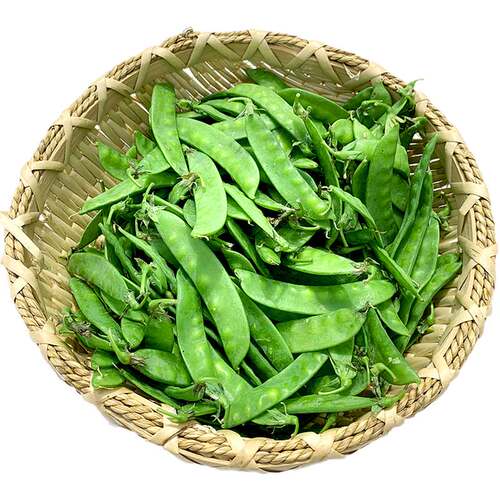 荷兰豆种子大软荚高产春秋种籽菜种孑秋冬季种植豌豆角春四季蔬菜