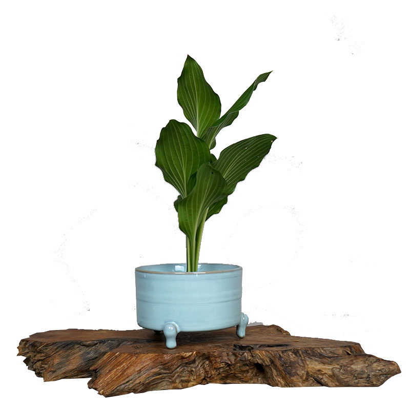 剑山汝窑香炉茶室禅意风中式插花