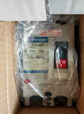 询E100-SF 2P 100A PMC，寺崎Terasa（请询价）