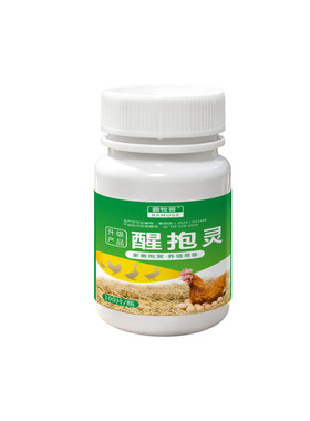 母鸡抱窝醒速效灵不让孵