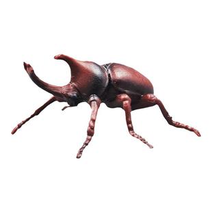 仿真甲虫玩具昆虫动物模型独角仙天牛大兜虫锹形虫屎壳郎七星瓢虫