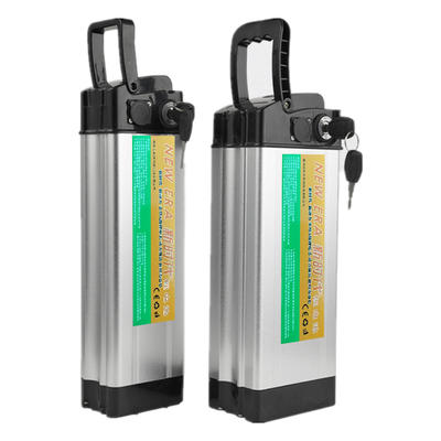 新时代48v20A代驾车全新三元锂