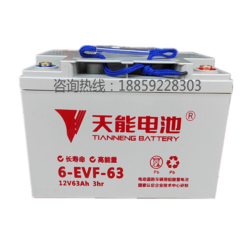 天能61(63)安电池四轮电车助力车