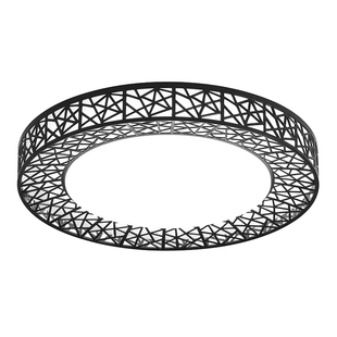 节能LED吸顶灯鸟巢灯简约现代卧室灯客厅圆形房灯厨房阳台过道灯