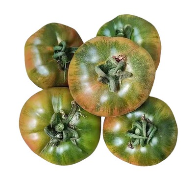 草莓番茄种子水果番茄种子草莓柿子种铁皮西红柿苗口感西红柿种子