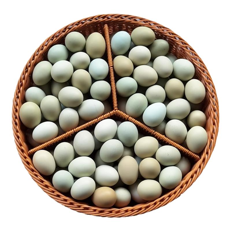 知楚绿壳山鸡蛋90枚新鲜正宗60枚农村散养土鸡蛋40枚乌鸡蛋