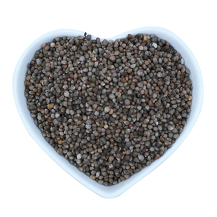 东北特产长白山绿叶苏子籽苏子灰苏籽榨油非种子苏子盐500g包邮