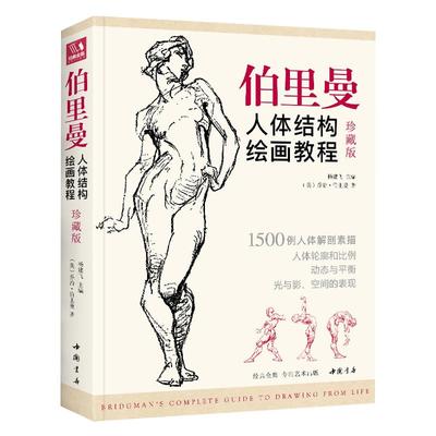珍藏版 伯里曼人体结构教学 人物速写入门基础绘画临摹书籍 透视技法自学头像美术艺术手绘教材全套正版 杨建飞主编