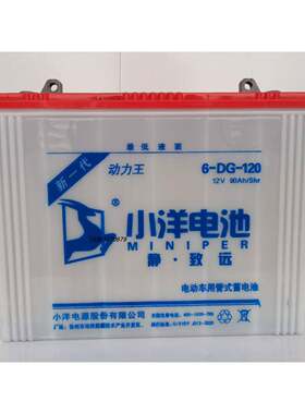 小洋蓄电池6DG120A电动载客三轮车拉坯车用48V60V72V牵引水电瓶
