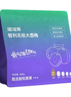 滋滋果智利无核大西梅干
