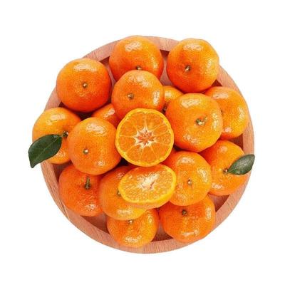 广西正宗砂糖橘5斤整箱包邮新鲜水果当季砂糖桔蜜橘桔子时令水果9