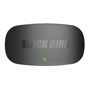 黑鸟双模心率胸带蓝牙ANT+心率监测仪骑行运动Blackbird心率带