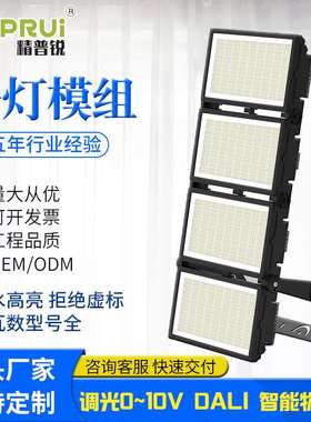 定制LED路灯模组 户外ip65高杆灯 500W球场灯塔吊高亮贴片投射灯
