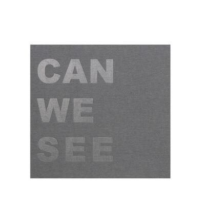【预售】我们能看见吗？英文摄影纪实进口原版外版书精装Can We See Niels Schabrod Verlag Kettler
