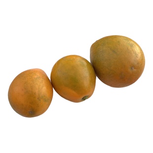 双特大果 第三代广西融安脆蜜金柑免洗独立包1.5 斤礼盒金桔顺丰