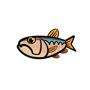 路亚钓鱼刺绣魔术贴徽章个性马口军鱼鲈鱼士气臂章背包贴章鳜鱼