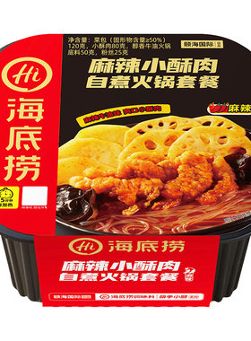 海底捞自热火锅自嗨锅巨好吃零食