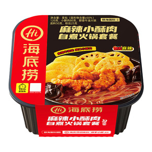 海底捞自热火锅自嗨锅巨好吃零食