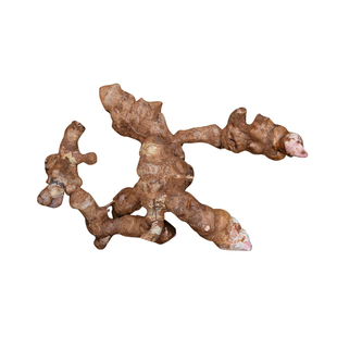 深山金刚藤头金刚藤根菝葜干货500g农家新鲜晒干无硫金刚头铁菱角