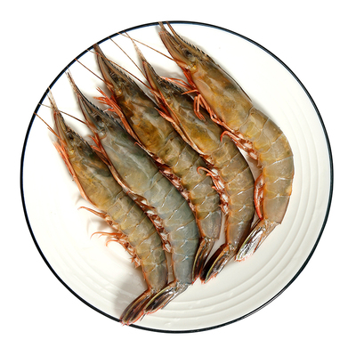 舟山海鲜水产野生海捕青壳滑皮虾