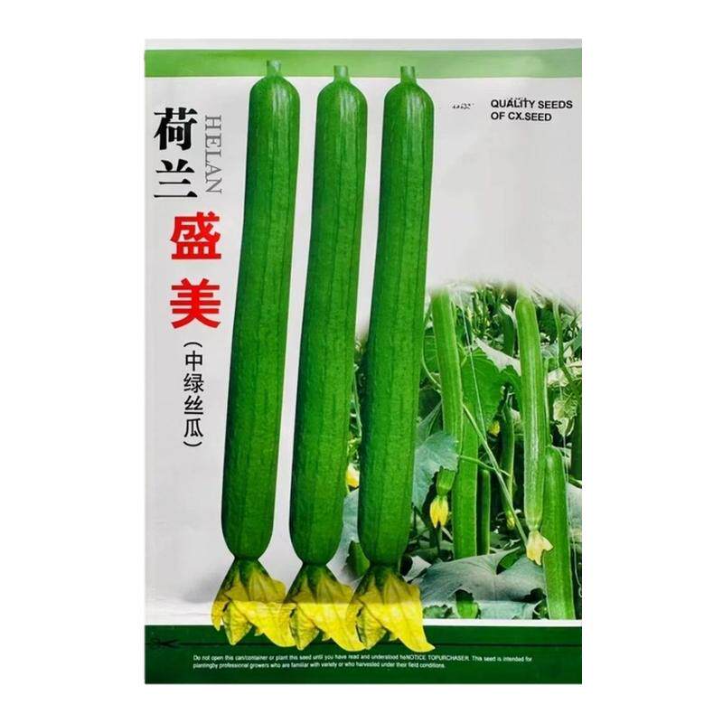 山东寿光荷兰盛美丝瓜种
