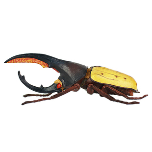 仿真甲虫玩具动物模型昆虫天牛锹甲锹形虫兜虫独角仙儿童认知礼物