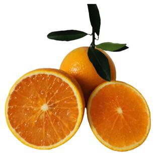 正宗红江橙廉江红橙红江农场现摘现发当季新鲜手剥水果10斤礼盒装