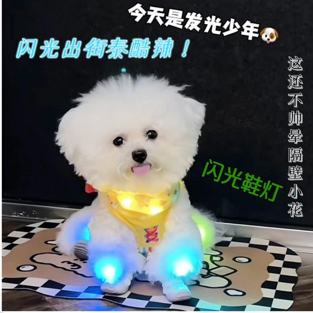 狗狗发光鞋灯宠物闪光鞋灯小型犬比熊泰迪雪纳瑞夜间遛狗防丢鞋灯