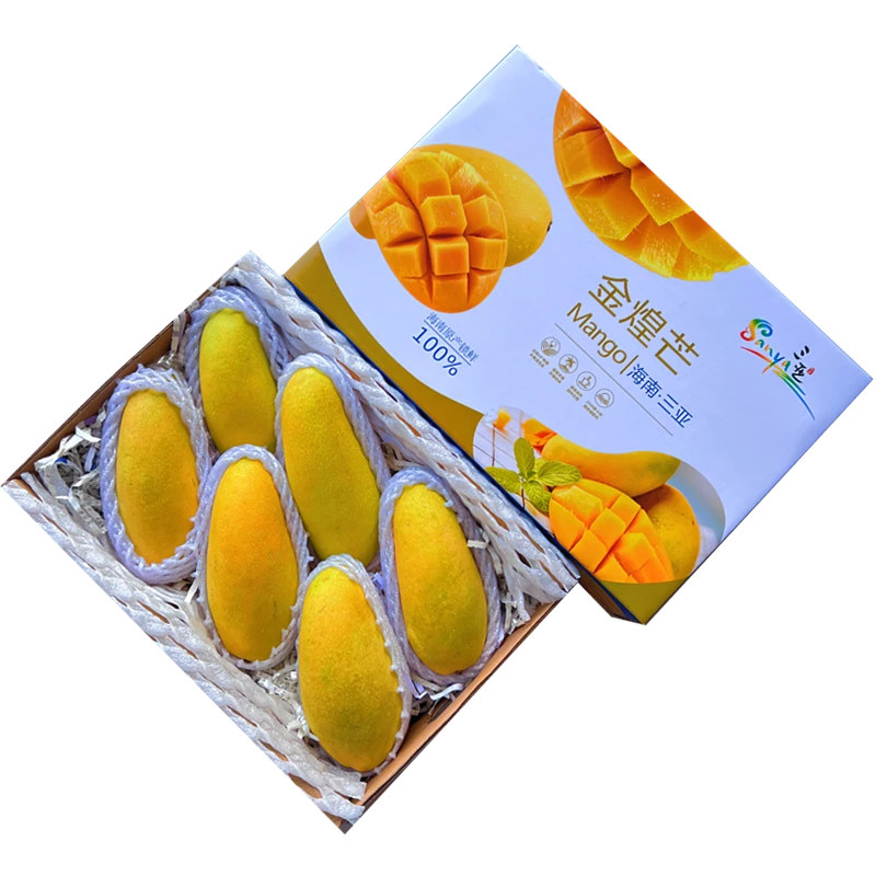 云南晚熟金煌大芒果新鲜9斤装