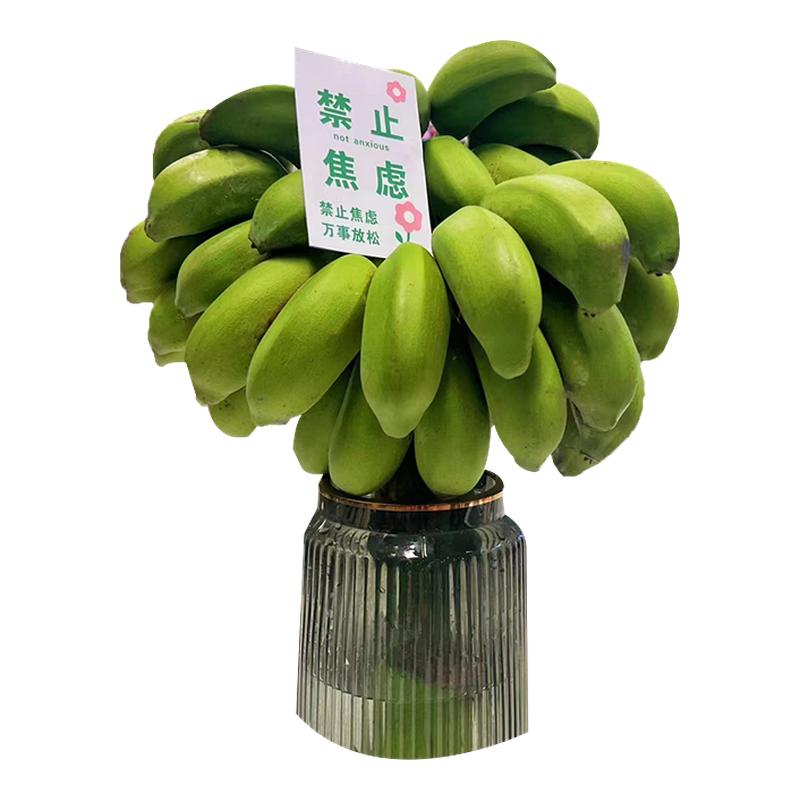 水培香蕉花禁止蕉虑现切插花拒绝蕉绿桌面绿植办公室菠萝凤梨芭蕉