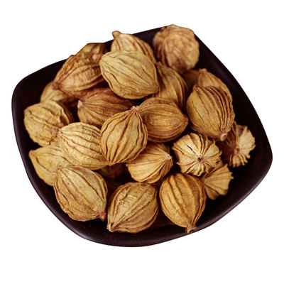 四川特产500g炖肉卤菜调料