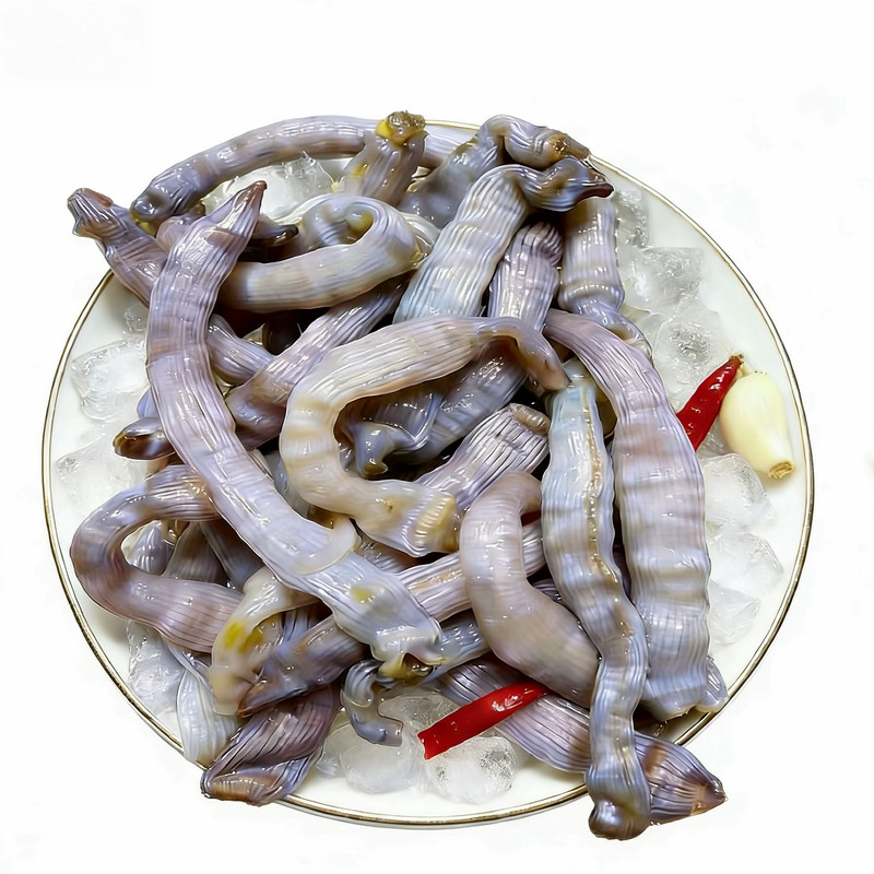 厦门沙虫鲜活现杀去内脏处理干净