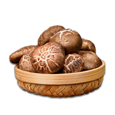 长白山优选椴木香菇干货东北农家土特产个大高泡发肉厚无根高泡发