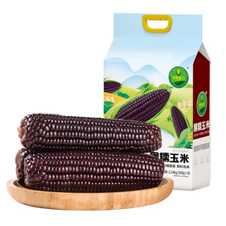 黑糯玉米甜黏苞米棒低脂粗粮真空锁鲜膳食纤维花青素代餐4.48斤