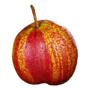 正宗新疆库尔勒彩虹梨子新鲜水果当季整箱现摘阿克苏香梨酥甜生鲜