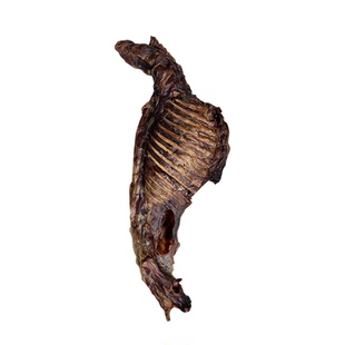 狗狗零食磨牙棒自制风干羊排羔羊腿小型宠物大型犬训练奖励狗骨头