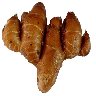 农家自种新鲜沙姜山奈三奈广东白切鸡椰子鸡现挖包邮个大味浓配料