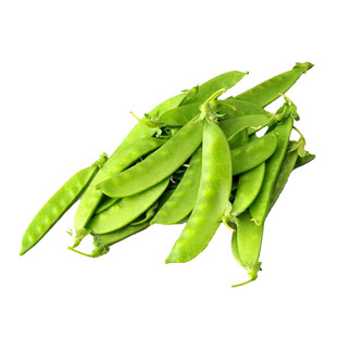 荷兰豆种子豌豆尖种籽四季菜种大全荷兰豆种籽蔬菜苗种孑农家菜籽