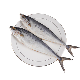 马鲛鱼干500g梅香味咸鱼干风干自晒整条鲅鱼干淡晒马友鱼海鲜干货