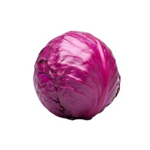 良道天成【无麸质有机紫甘蓝】云南新鲜应季无农残带叶蔬菜榨汁甘