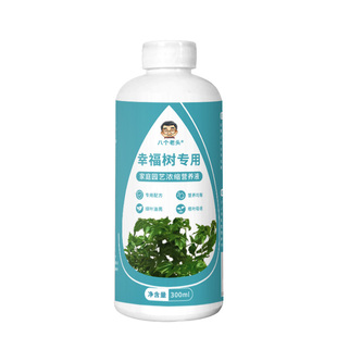 幸福树专用营养液盆栽植物龙血树室内绿植养花液体肥料家用三角梅