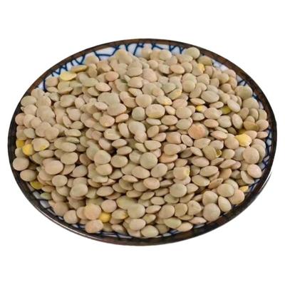 农家自种非转基因小扁豆