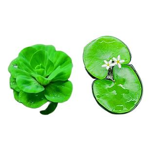 浮萍水草古法鱼缸净水植物龟缸躲避遮阳水培水芙蓉红毛丹漂浮造景