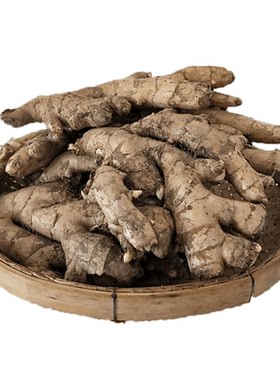 广西桂林恭城打油茶专用老姜