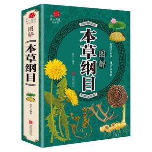 【彩图加厚版】本草纲目 正版李时珍全彩图 图解本草纲目 李时珍著 中医养生书籍大全 中药书中草药书入门医学书籍黄帝内经彩图版