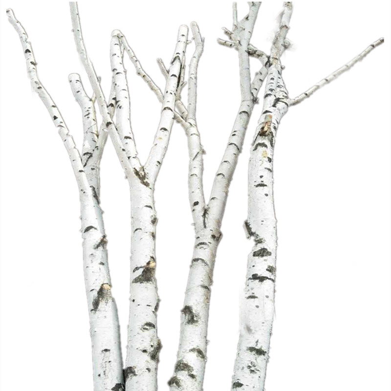 纯天然白桦树干树枝树杈干树枝橱窗隔断屏风家居枯树装饰婚纱摄影